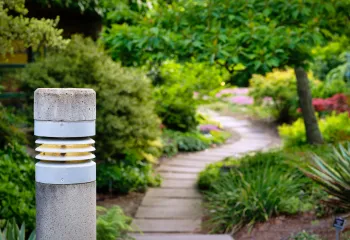 An unfocused photo of a stone path leading through a botanical garden.