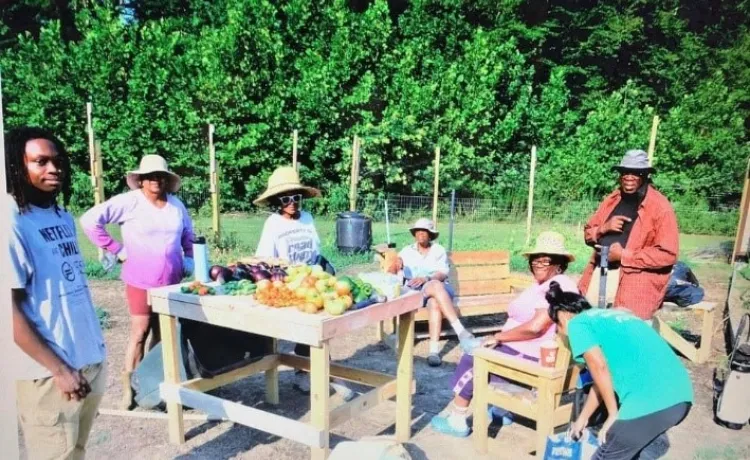 Community Garden at Hayes-Taylor Y