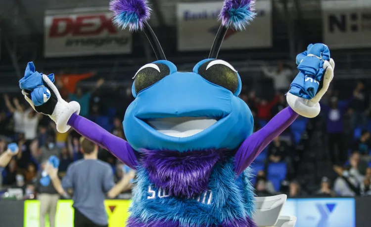 Swarmy throwing YMCA tshirts to the crowd at Greensboro Swarm basketball game.