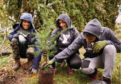 Three teens planting a tree