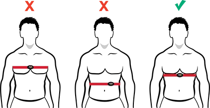 Myzone belt around chest.