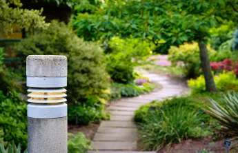 An unfocused photo of a stone path leading through a botanical garden.