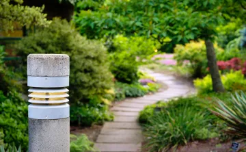 An unfocused photo of a stone path leading through a botanical garden.